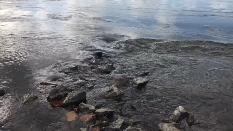 Sunset Park - Florissant, MO