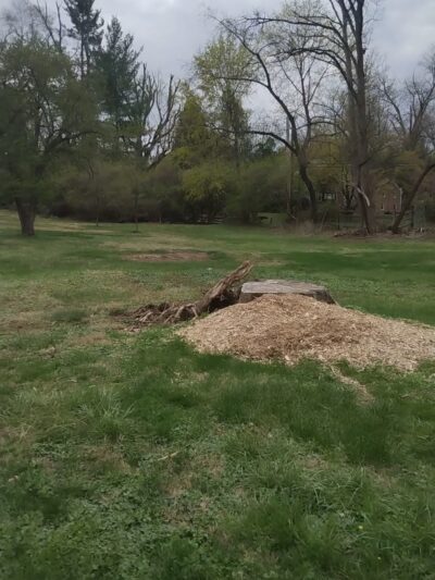Fort Washington State Park - Flourtown Day Use Area - Flourtown, PA