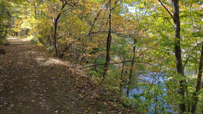 Dodd Creek Trail - Floyd, VA