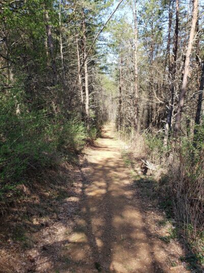 Dodd Creek Trail - Floyd, VA