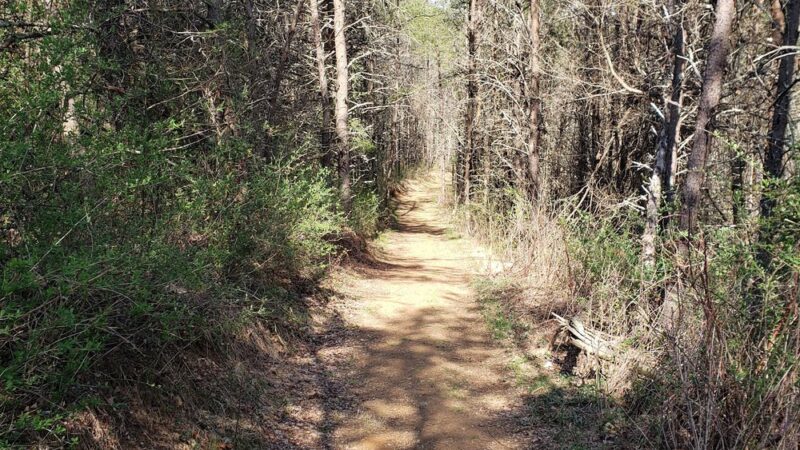 Dodd Creek Trail - Floyd, VA