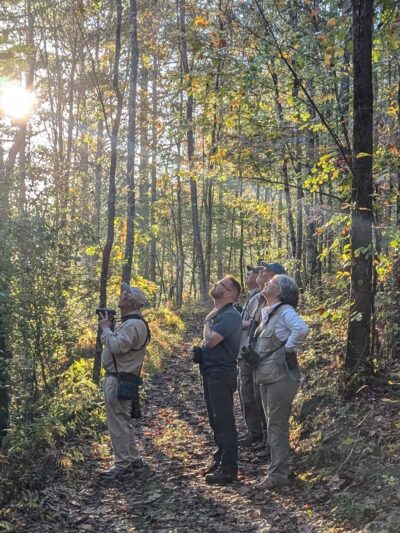 Floyd County Parks and Recreation - Floyd, VA