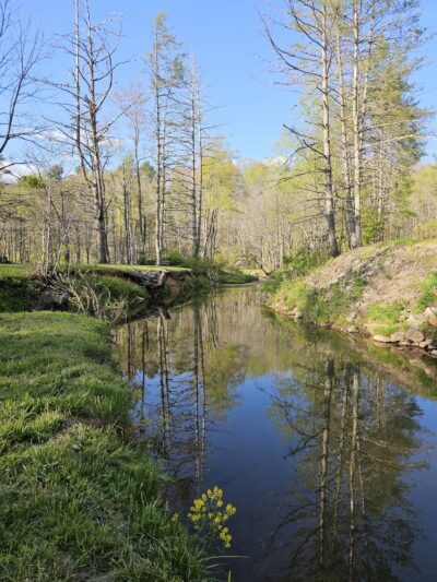 Hippie Hollow - Floyd, VA