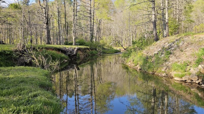 Hippie Hollow - Floyd, VA