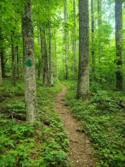Rocky Knob Recreation Area - Floyd, VA