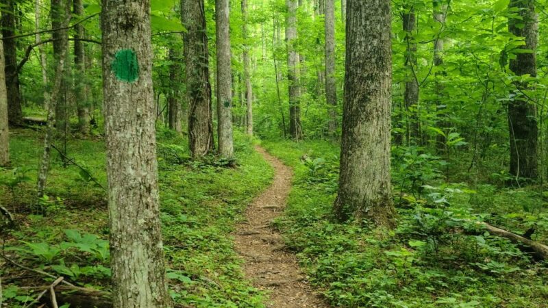 Rocky Knob Recreation Area - Floyd, VA