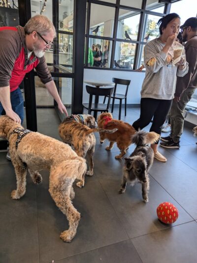 Annie's Social - Flushing, NY