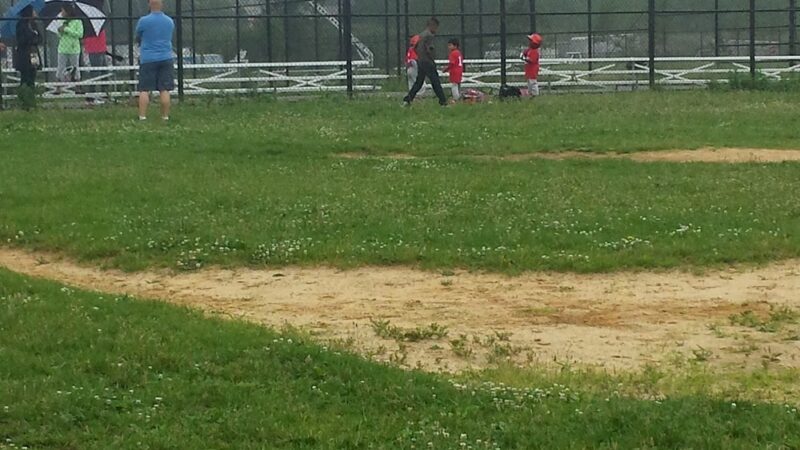 College Point Fields - Flushing, NY