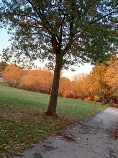 Cricket Grounds (Kissena Park) - Flushing, NY