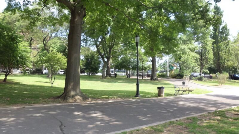 Hinton Park - Flushing, NY