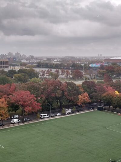 Hinton Park - Flushing, NY