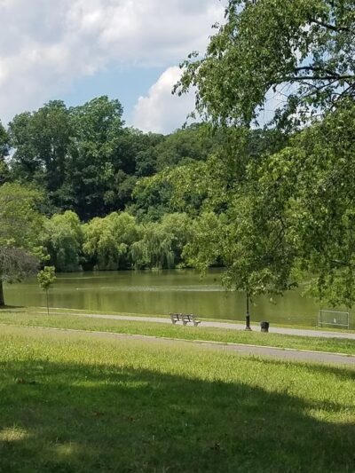 Kissena Corridor Park - Flushing, NY