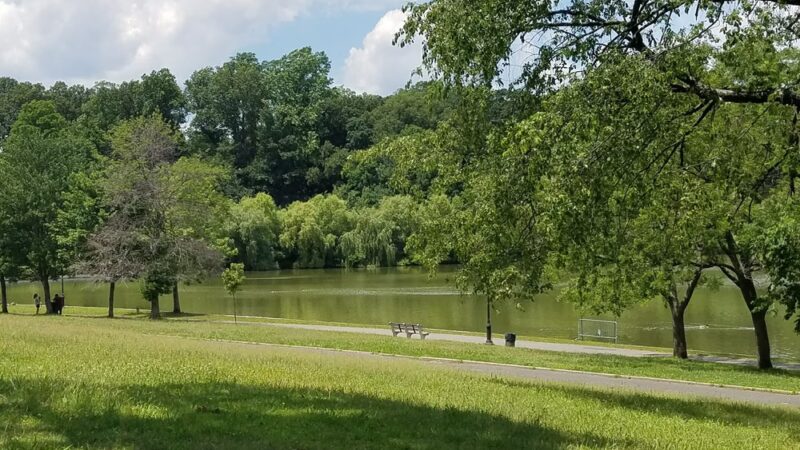 Kissena Corridor Park - Flushing, NY