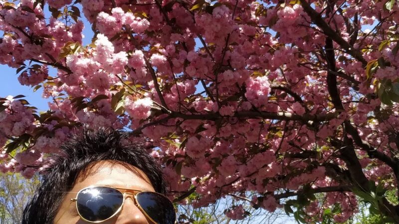 Kissena Corridor Park - Flushing, NY