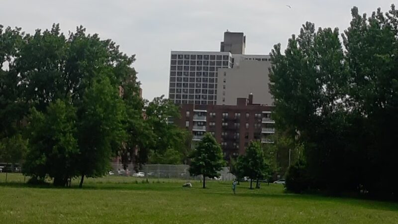 Kissena Park, Field 12 - Flushing, NY