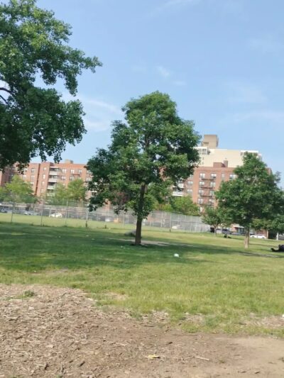 Kissena Park, Field 12 - Flushing, NY