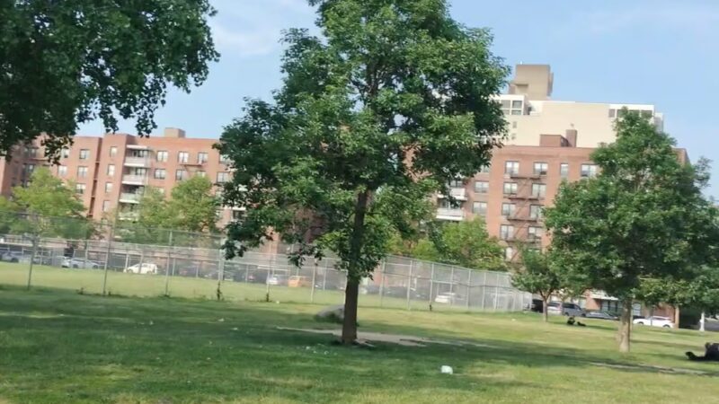 Kissena Park, Field 12 - Flushing, NY