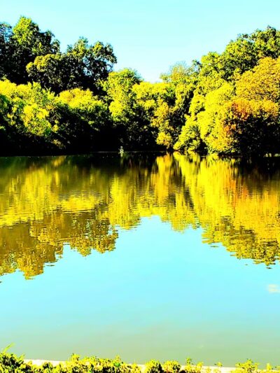 Kissena Park, Field 12 - Flushing, NY