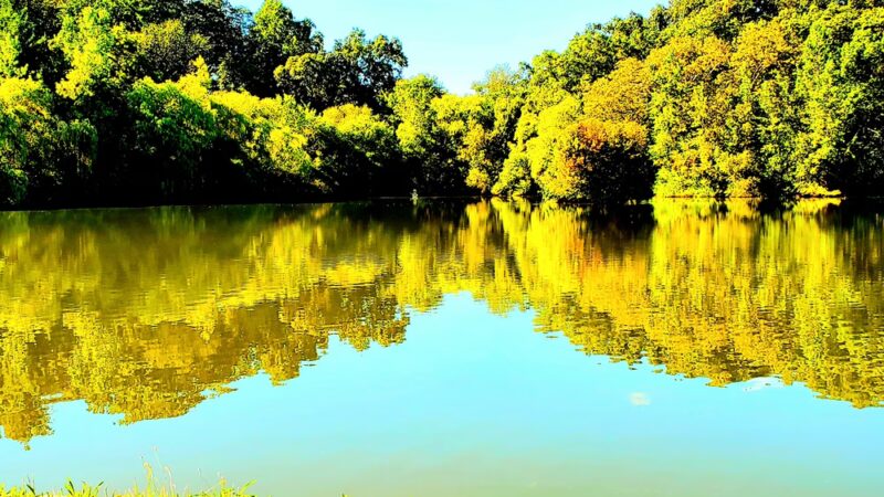 Kissena Park, Field 12 - Flushing, NY