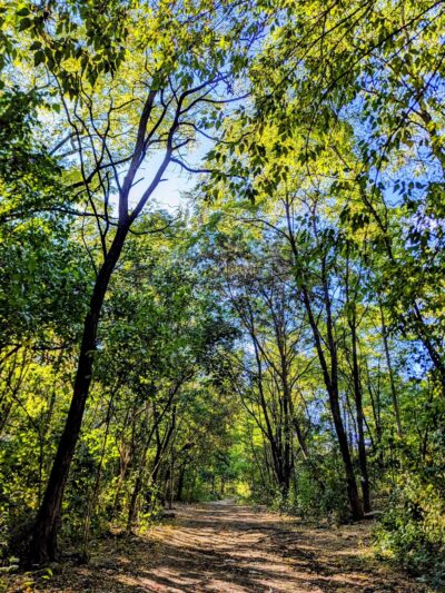 Kissena Park Trail - Flushing, NY