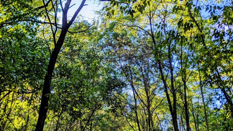 Kissena Park Trail - Flushing, NY