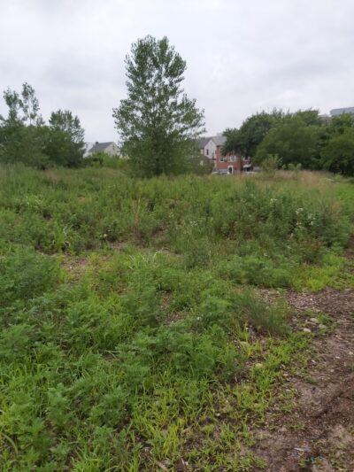 Kissena Park Trail - Flushing, NY