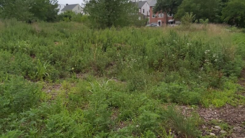 Kissena Park Trail - Flushing, NY