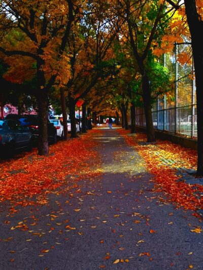 Leavitts Park - Flushing, NY