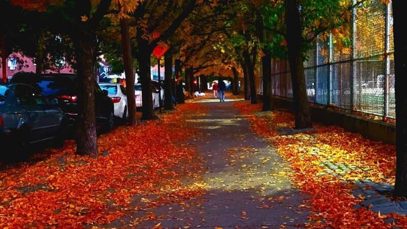 Leavitts Park - Flushing, NY