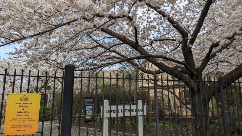 Leavitts Park - Flushing, NY