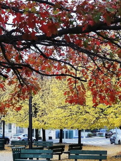 Leavitts Park - Flushing, NY