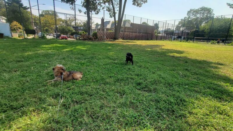 Leonardo Ingravallo Playground - Flushing, NY