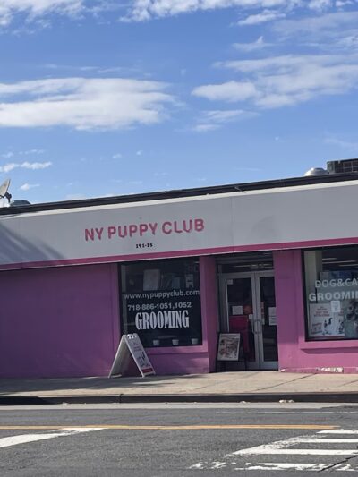 NY Puppy Club 191st - Flushing, NY