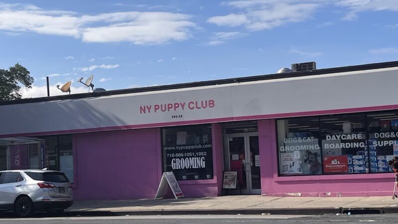 NY Puppy Club 191st - Flushing, NY