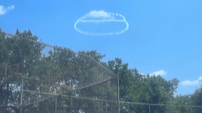 Peck Fields - Flushing, NY