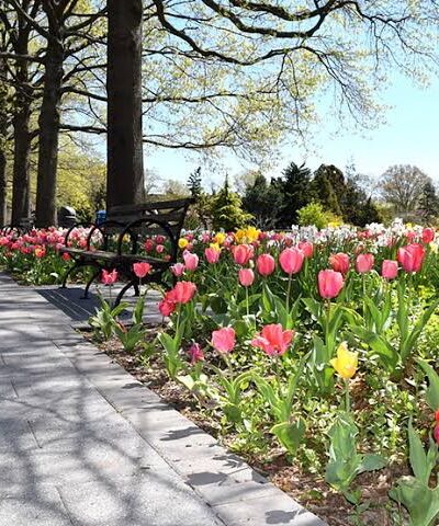 Queens Botanical Garden - Flushing, NY