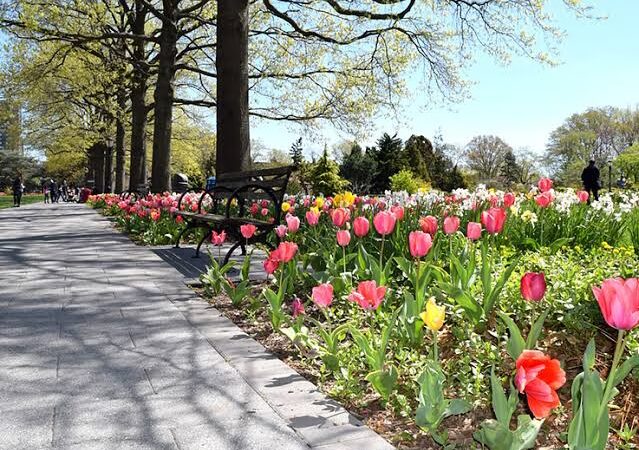 Queens Botanical Garden - Flushing, NY