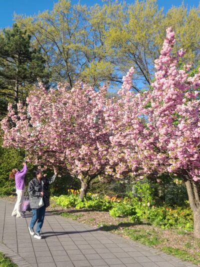 Queens Botanical Garden - Flushing, NY
