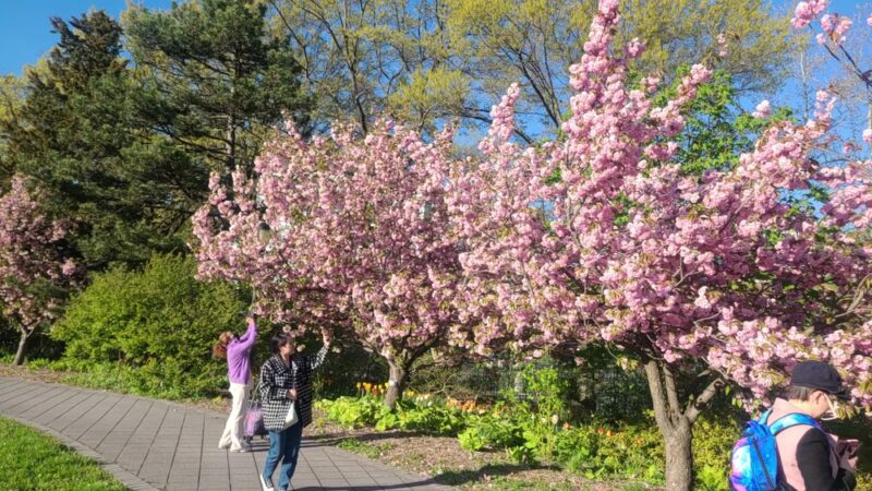 Queens Botanical Garden - Flushing, NY