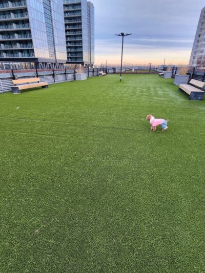 The Grand Dog Run - Flushing, NY