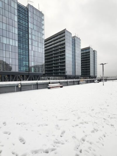 The Grand Dog Run - Flushing, NY