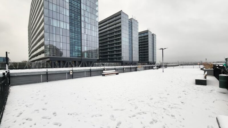 The Grand Dog Run - Flushing, NY