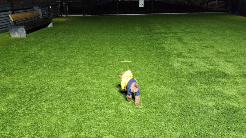 The Grand Dog Run - Flushing, NY