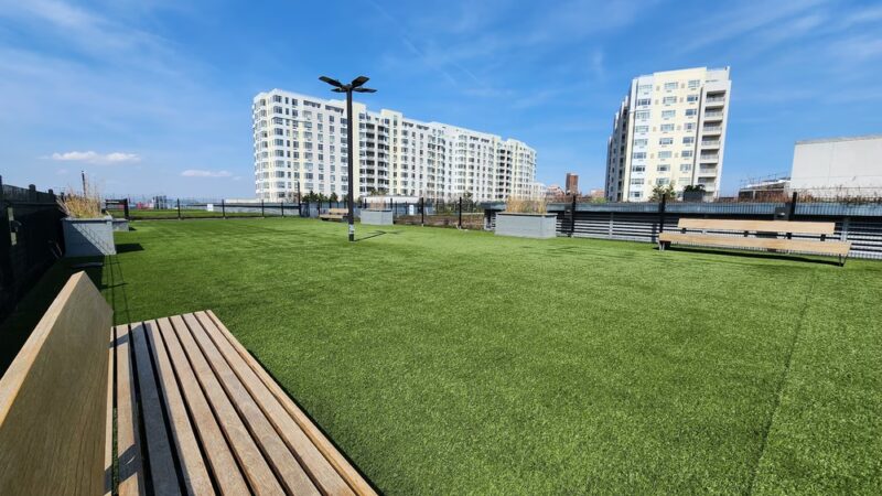 The Grand Dog Run - Flushing, NY