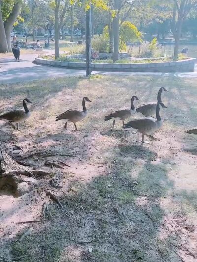 Bowne Park - Flushing, NY