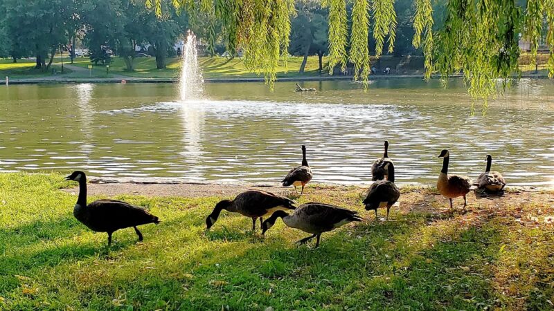 Bowne Park - Flushing, NY