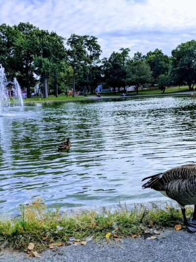 Bowne Park - Flushing, NY