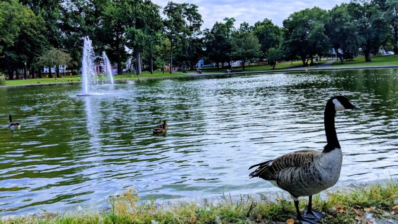 Bowne Park - Flushing, NY