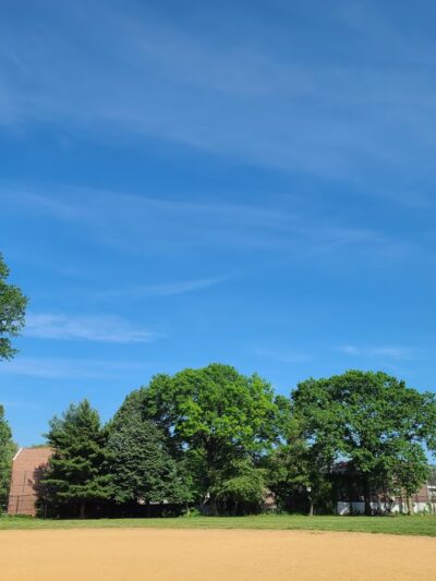 Flushing Fields - Flushing, NY