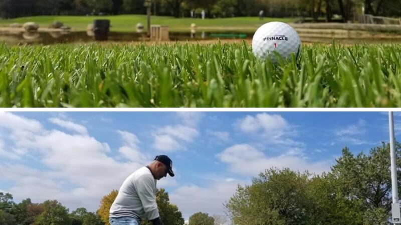 Flushing Meadows Pitch & Putt - Flushing, NY